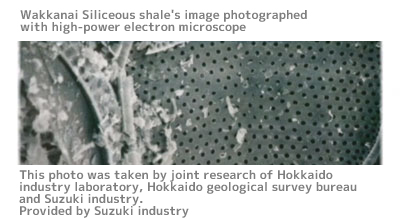 Wakkanai Siliceous shale's image photographed with high-power electron microscope