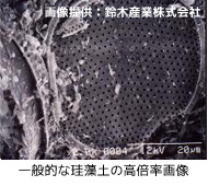 電子顕微鏡による一般的な珪藻頁岩の高倍率画像