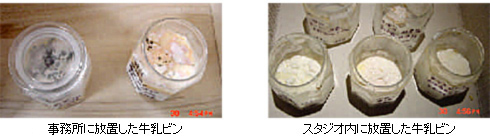 抗酸化作用　牛乳実験
